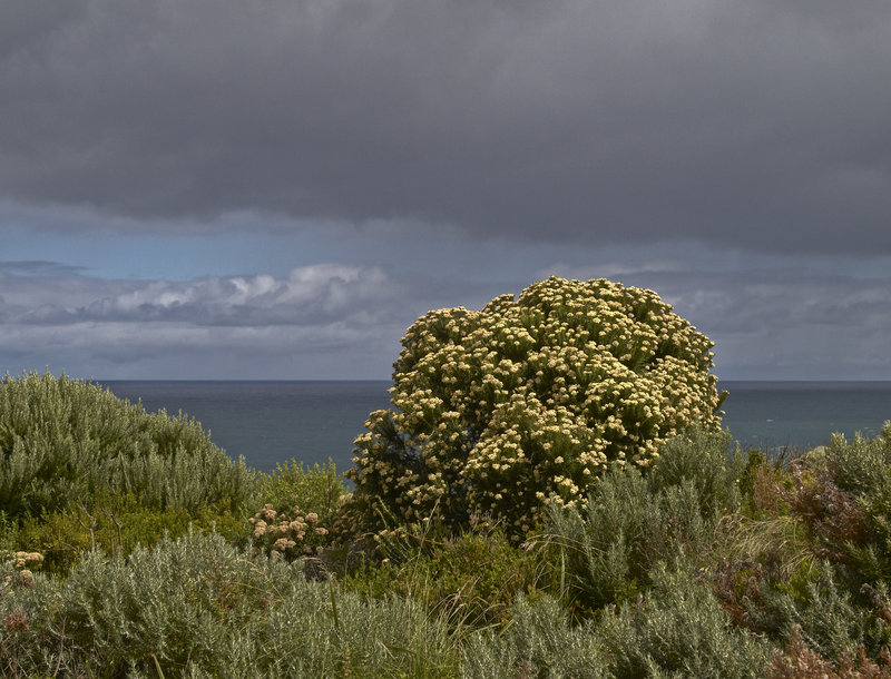 Great Ocean Road